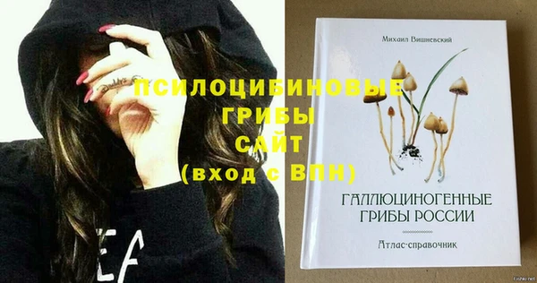 бошки Алзамай